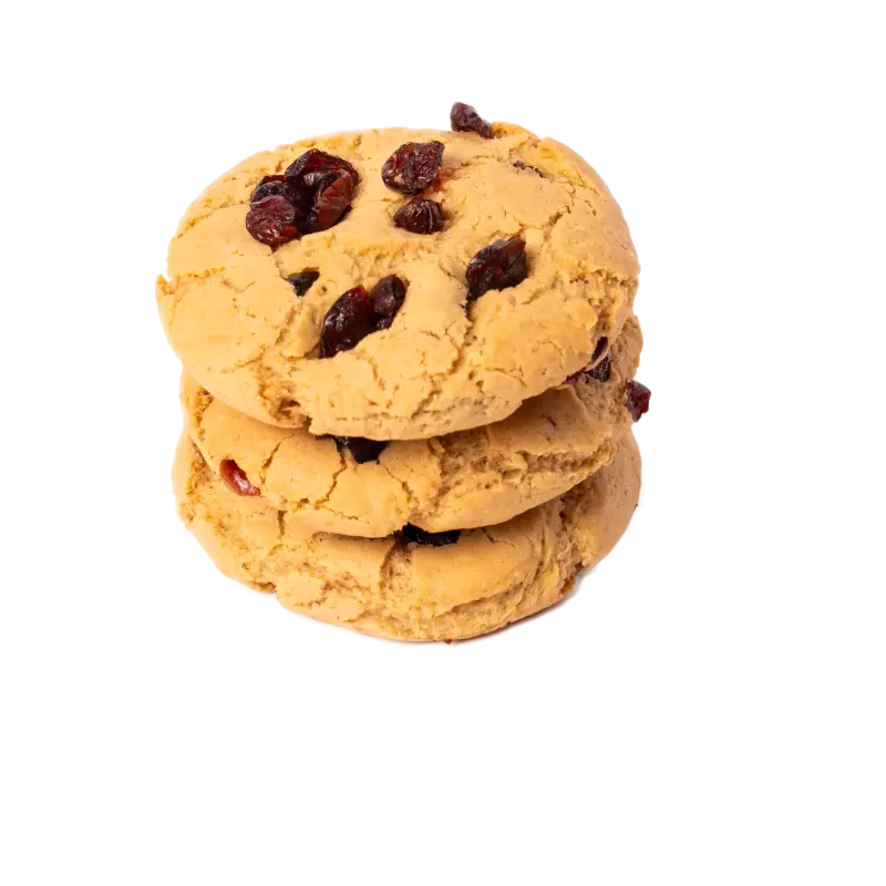 Galleta de Arándanos