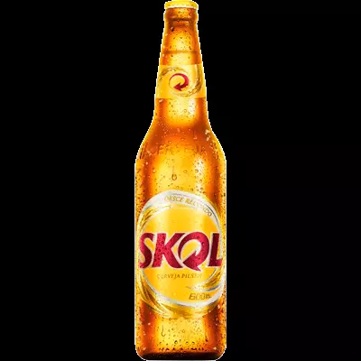 Skol 600 ml