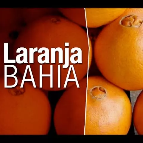 Laranja Bahia