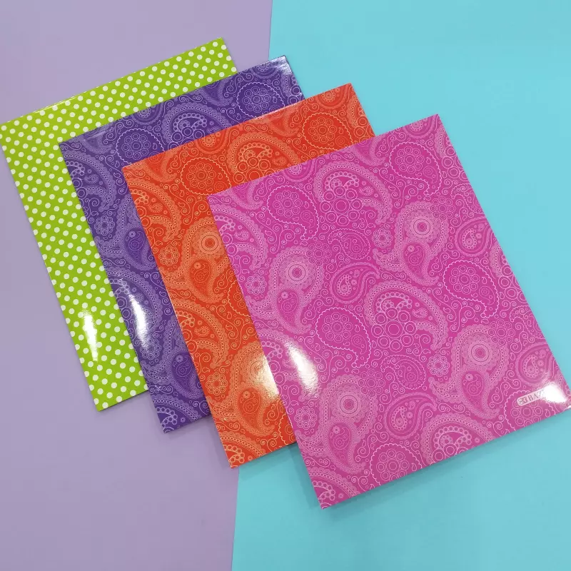 Carpeta 2 solapas Bazic