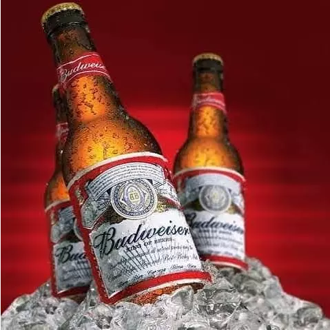 Budweiser Long Neck 330ml 🍺