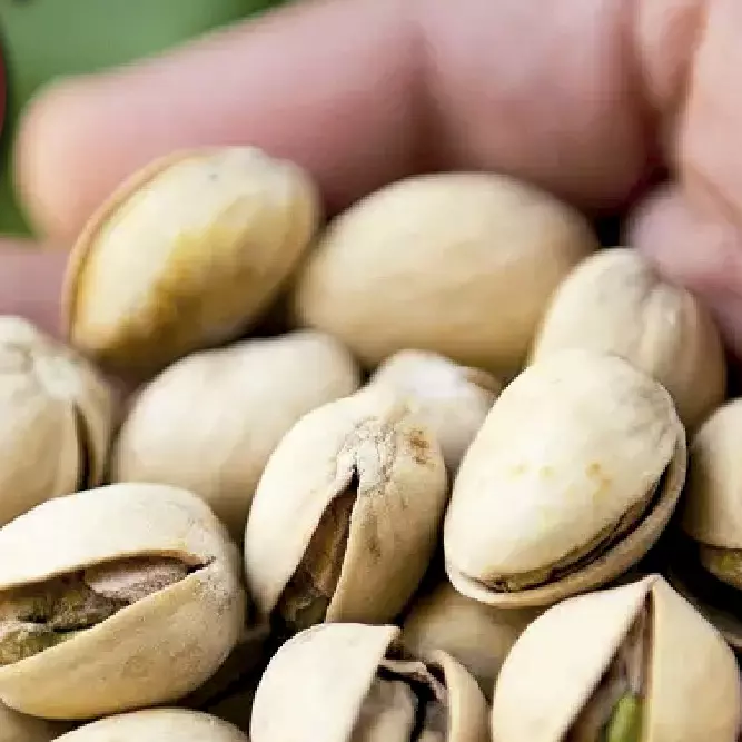 PISTACHIO