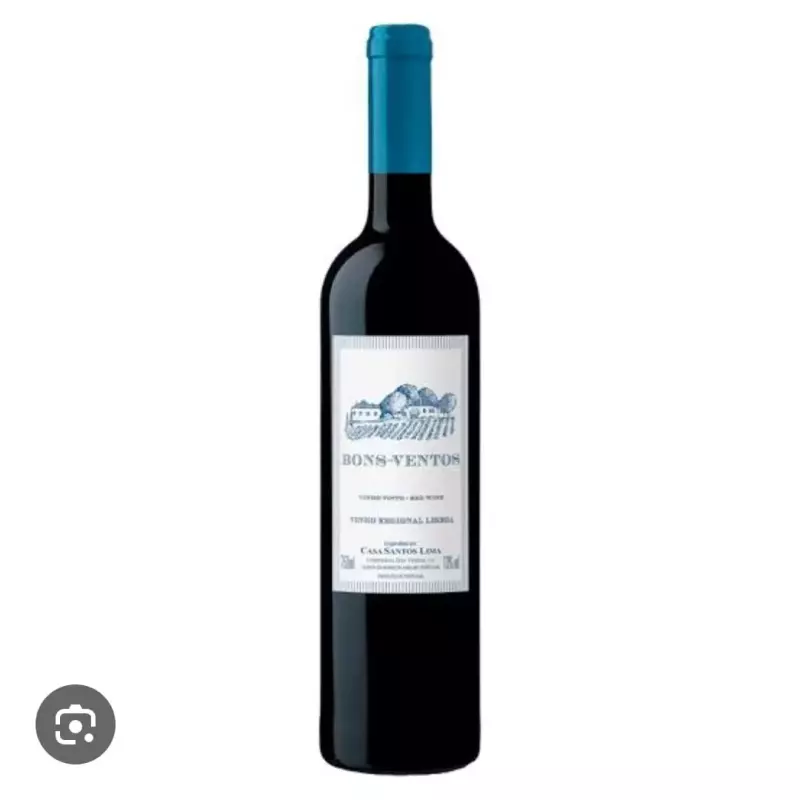 Bons Ventos - Red Wine 750ml