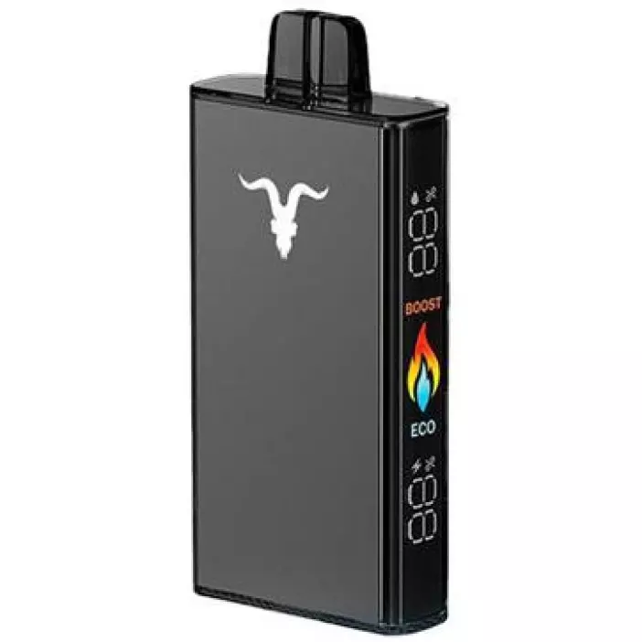 V250 CACTUS LIME SODA