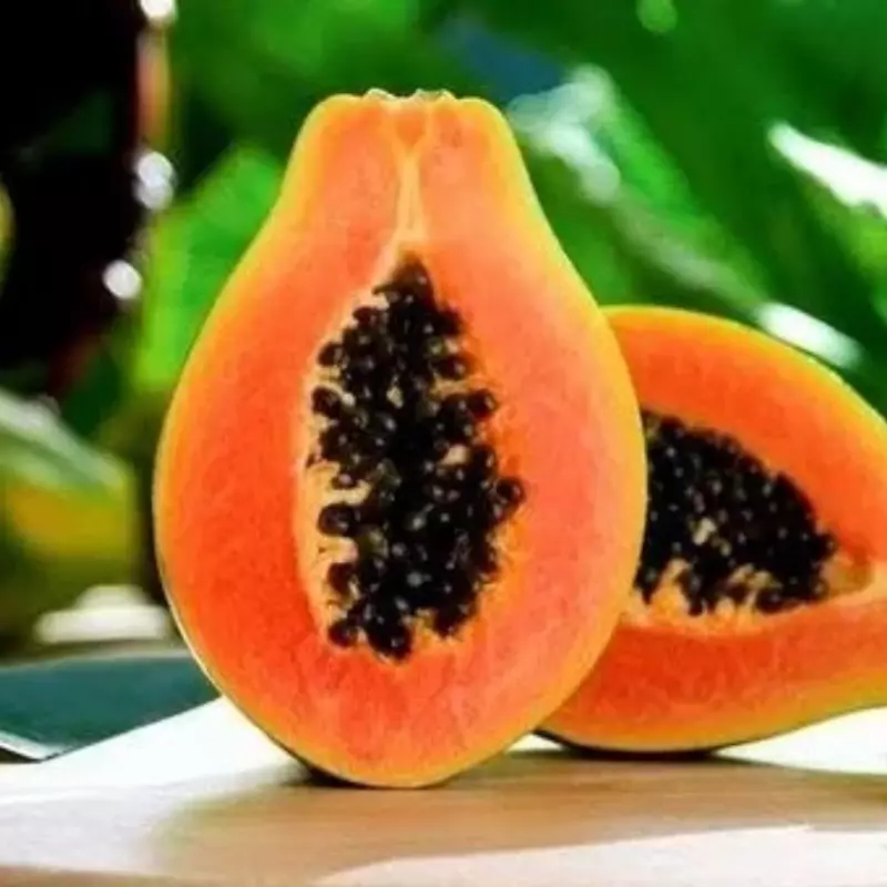 Mamao Papaya