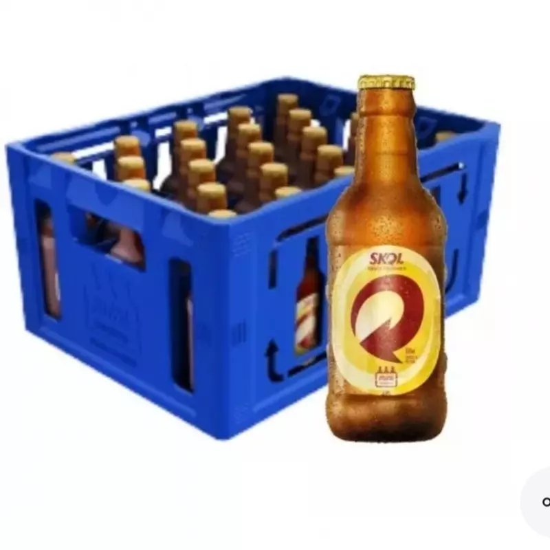 Skol pilsen caixa 23und 300ML