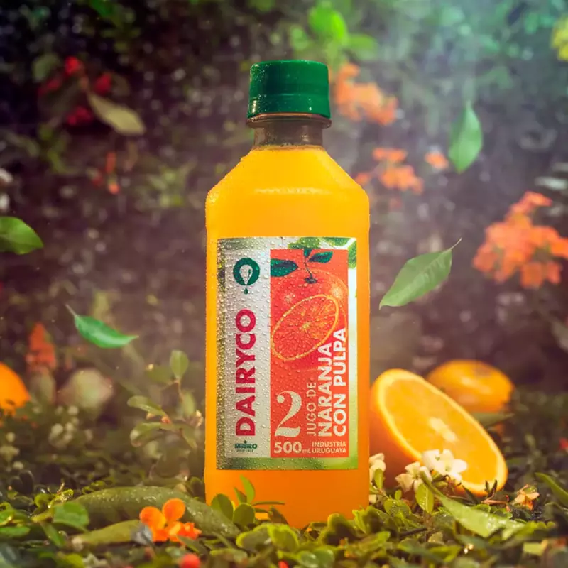 Dairyco Naranja con Pulpa 500ml