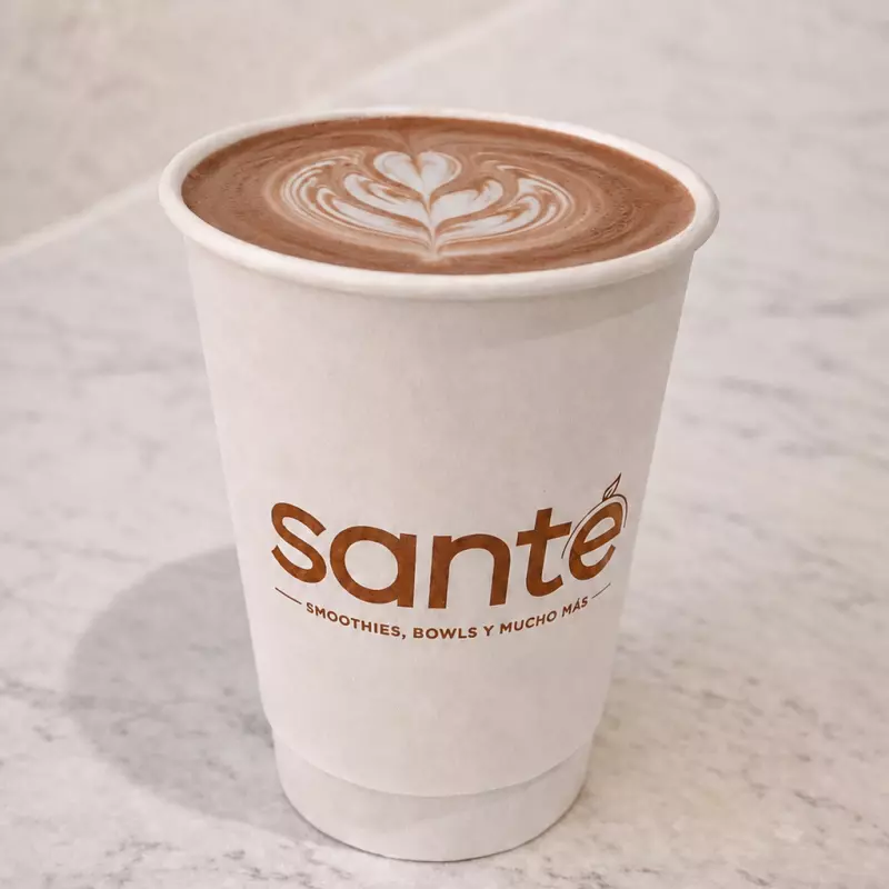 Mocha Sugar Free Latte
