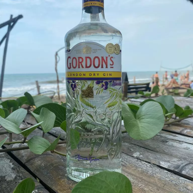Gordons Gin