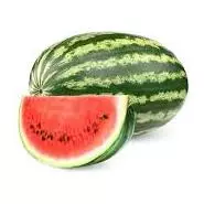 Sandia