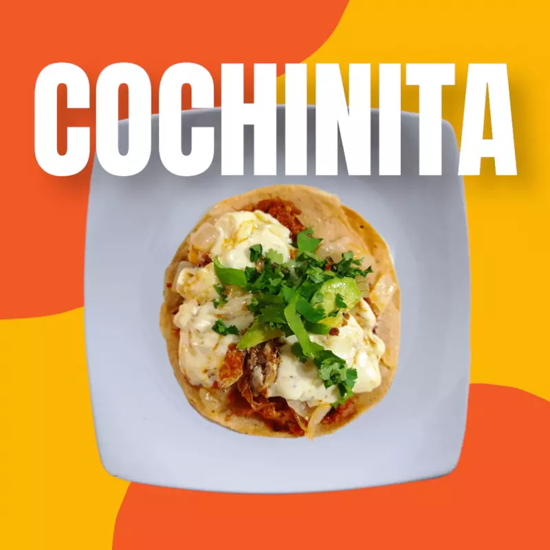 Volcán de cochinita