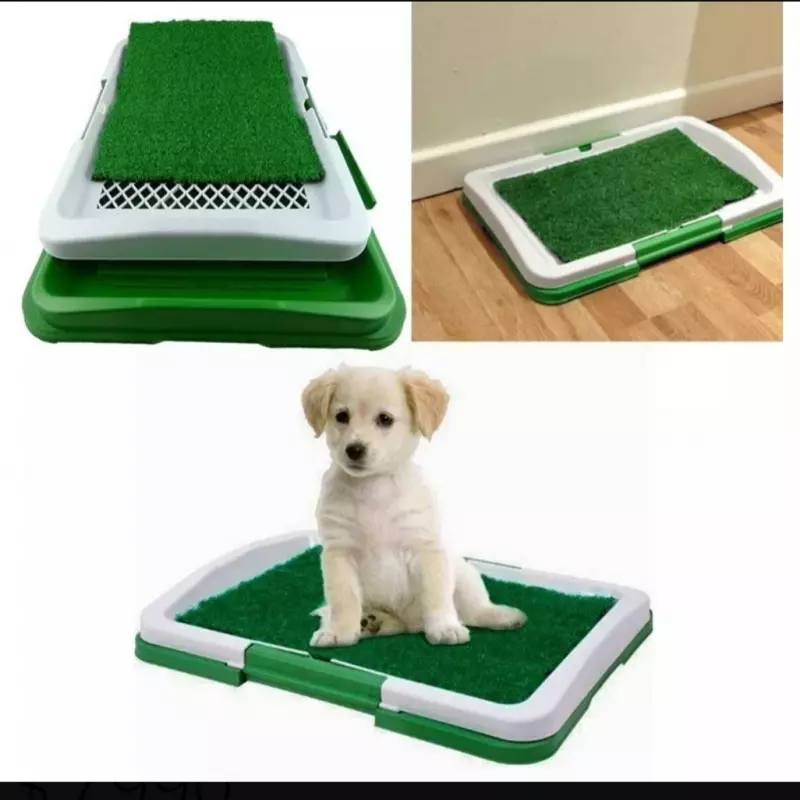 🐱BAÑO ECOLÓGICO DE MASCOTA🐶