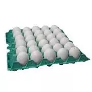 BANDEJA 30 OVOS  BRANCO GRANDE