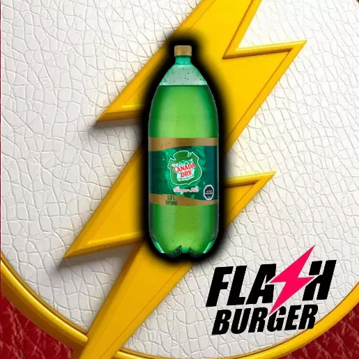 CANADA DRY (3 LTS)