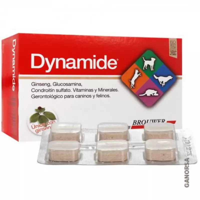 Dynamide
