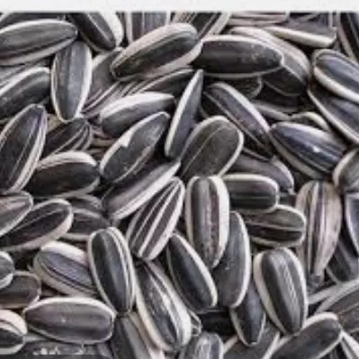 Girassol graudo 500gr