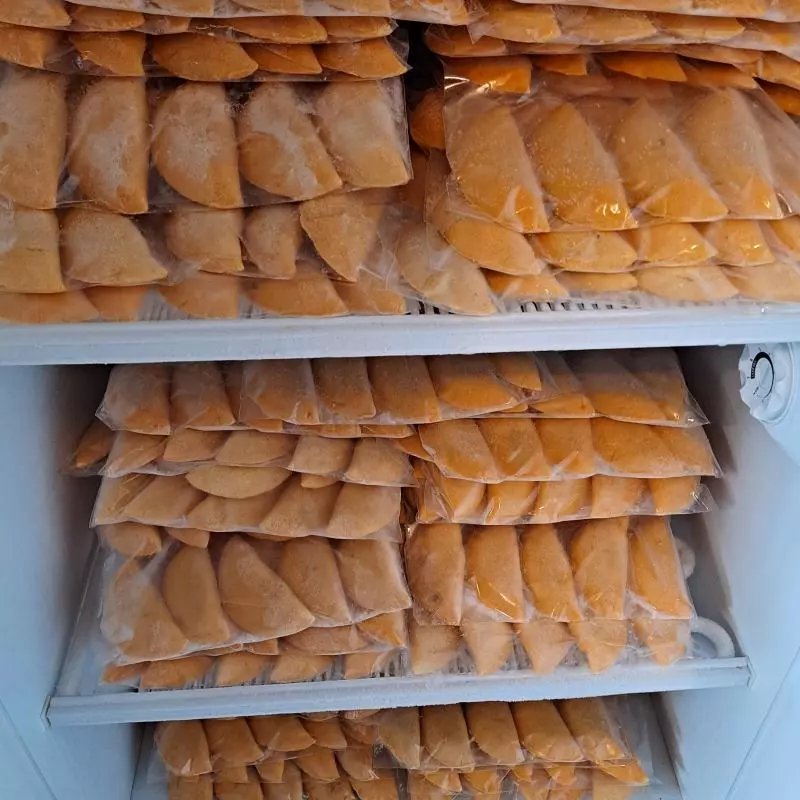 Frozen Empanadas