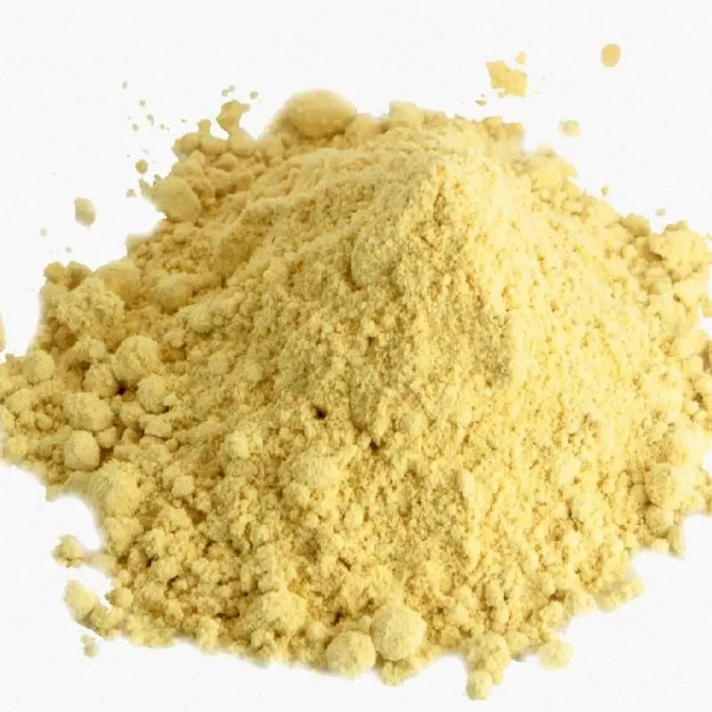 96 - Gengibre em Pó (100g)