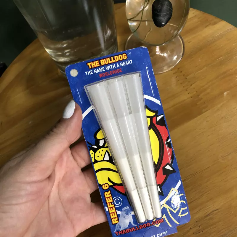 Cone the bulldog pequenos