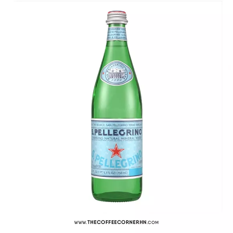 AGUA MINERAL S. PELLEGRINO 500 ML