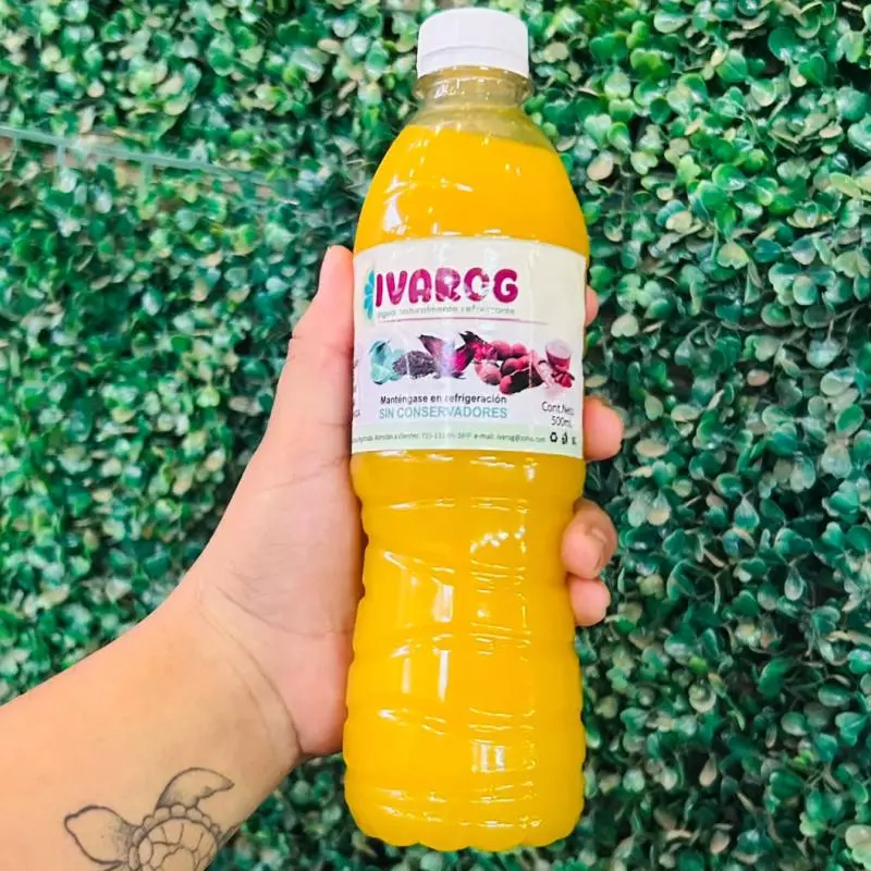 AGUA DE MANGO 500ML