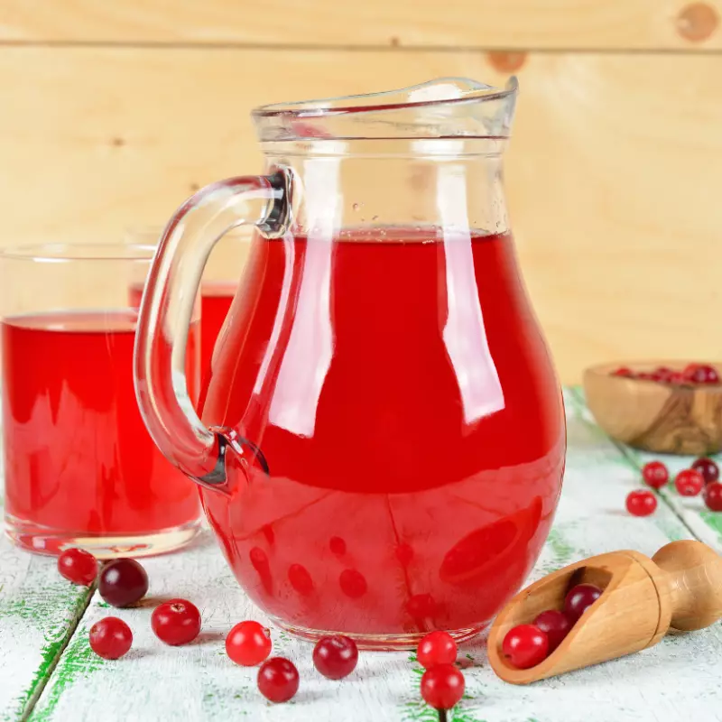 Jarra de Suco Cramberry