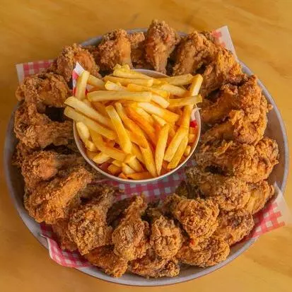 ALITAS BROASTER GRANDE X20