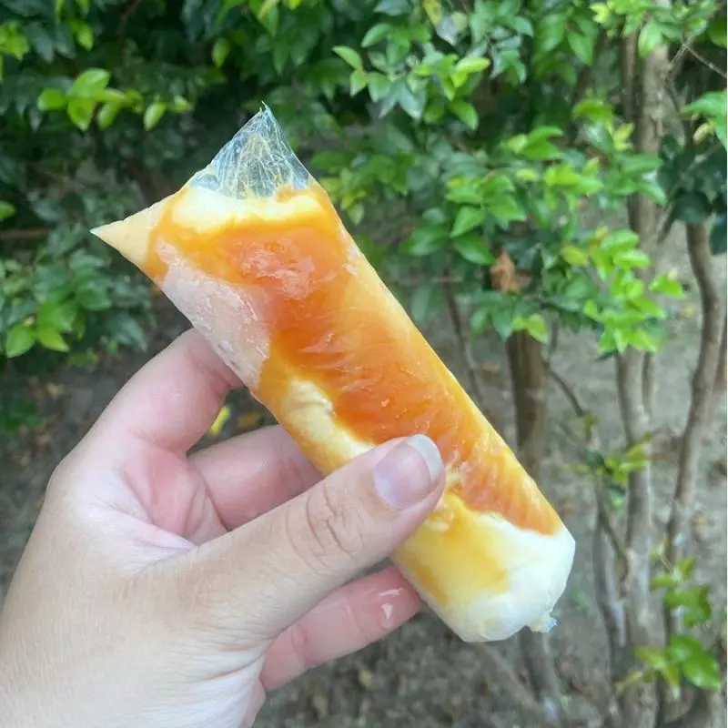 Gelado Gourmet Pudim