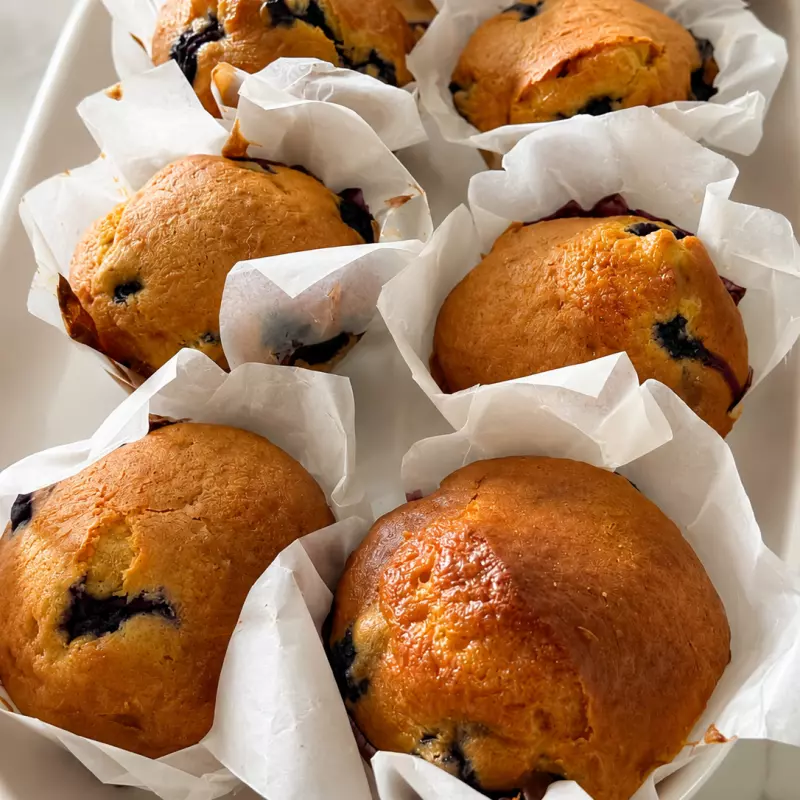 Blueberry Muffin