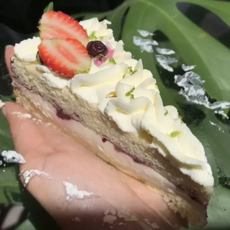 LIMÃO C/ FRUTAS VERMELHAS LOW CARB