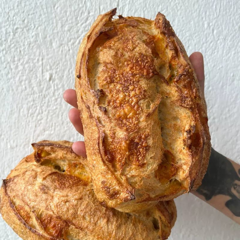 Provolone e Orégano