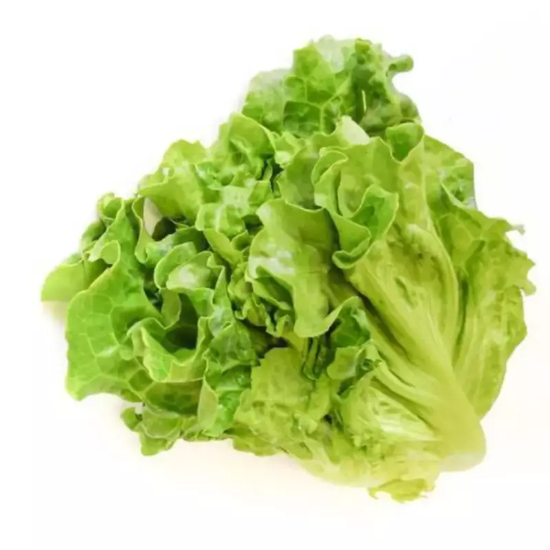 一包唐生菜 lechuga china