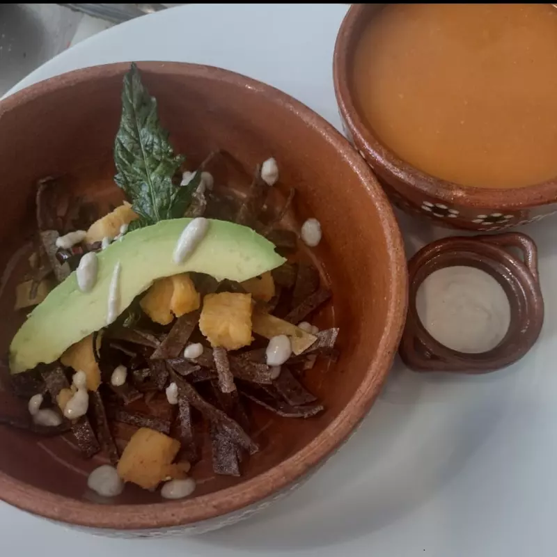 Sopa de Tortilla Orgánica
