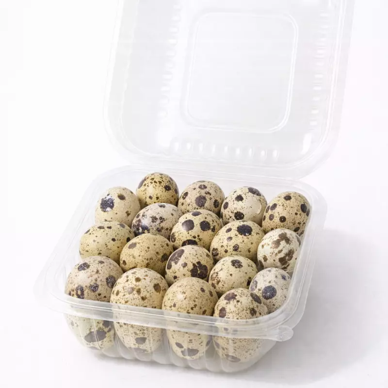 25 HUEVITOS DE CODORNIZ