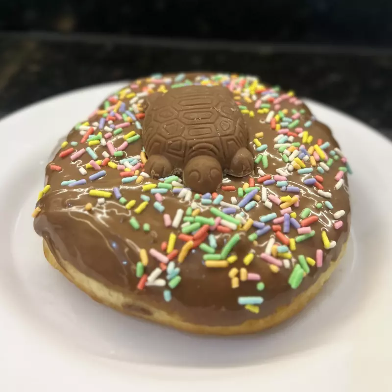 Donut de Tortuguita