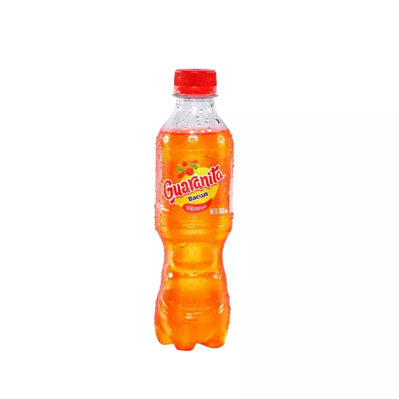 GUARANITA 300 ML