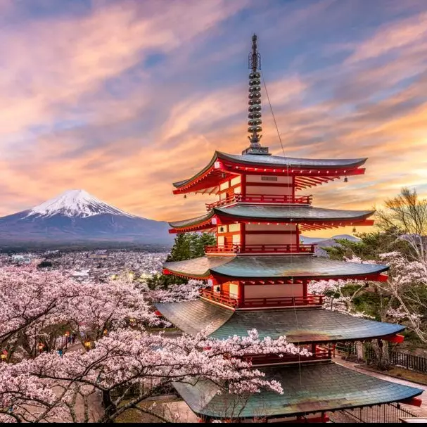 Ilha Japão 16 peças