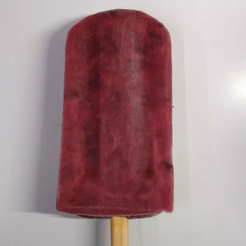 VINO TINTO CON FRUTOS ROJOS