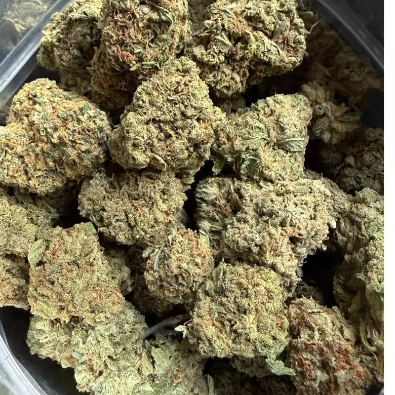 Celtic Cream(Híbrida)