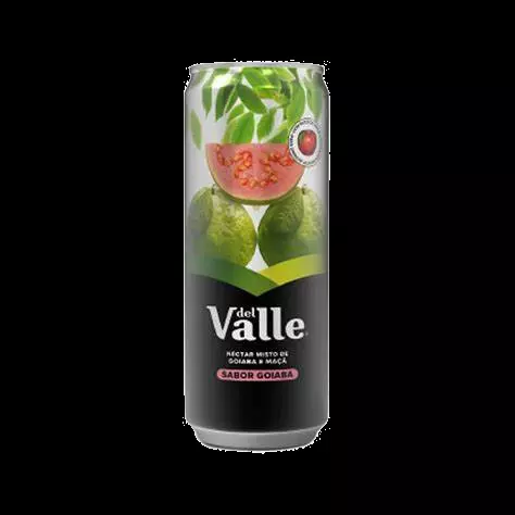 Suco Del Valle Néctar Goiaba 290ml