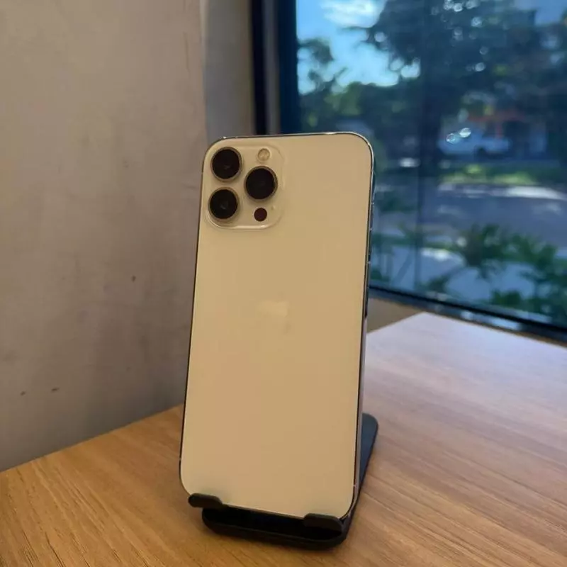 13 PRO MAX 256GB PRATEADO