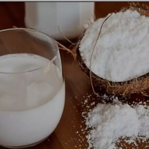 Leite de Coco em  Pó 100g