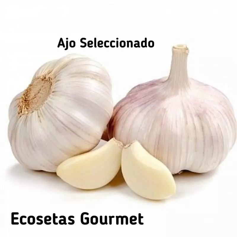 Malla Ajo x 3 cabezas