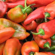 CHILE MALLA PROMOCION