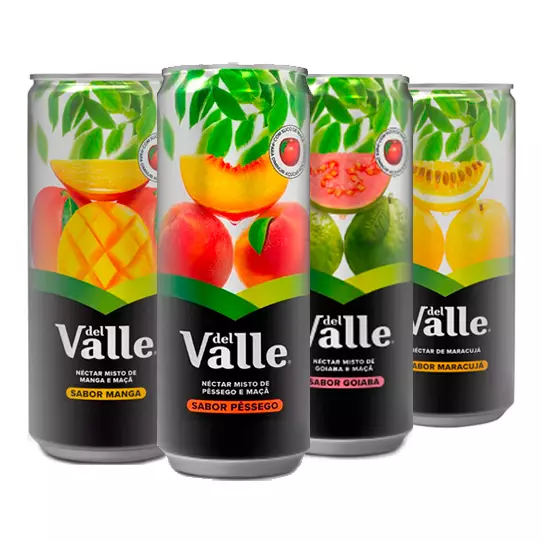 Suco Dell Valle 350ML