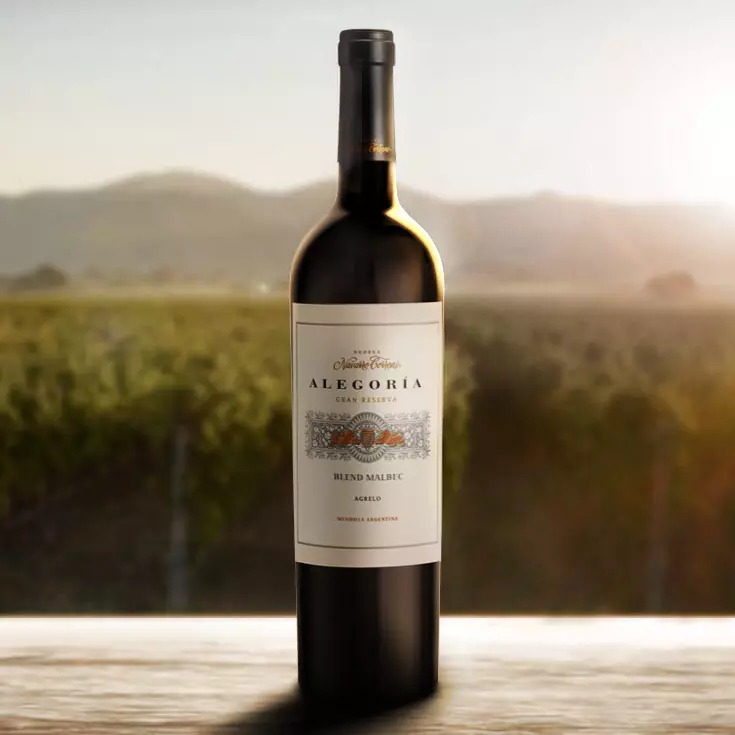 Vino Navarro Correas Alegoria Malbec