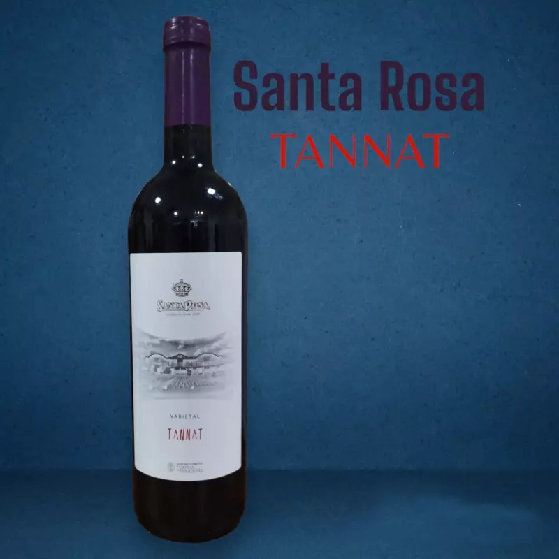 Vino Tannat