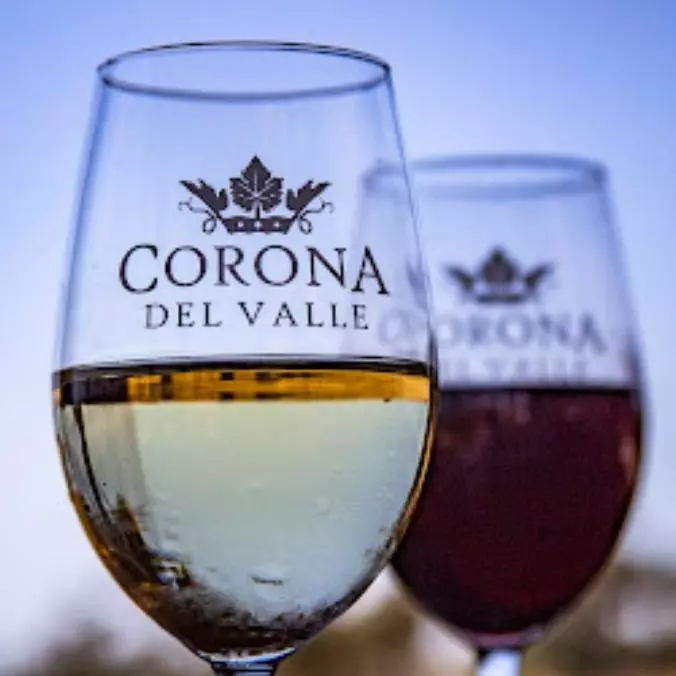 CHARDONNAY \ CORONA DEL VALLE