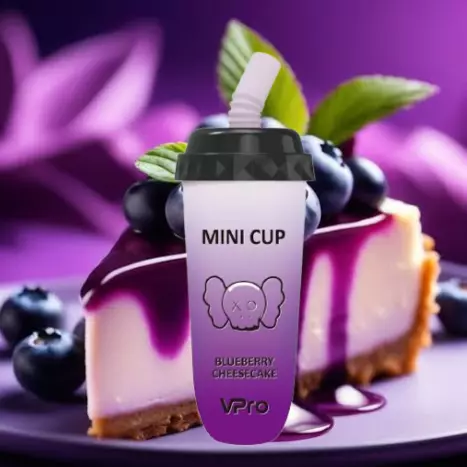 Blueberry Cheesecake