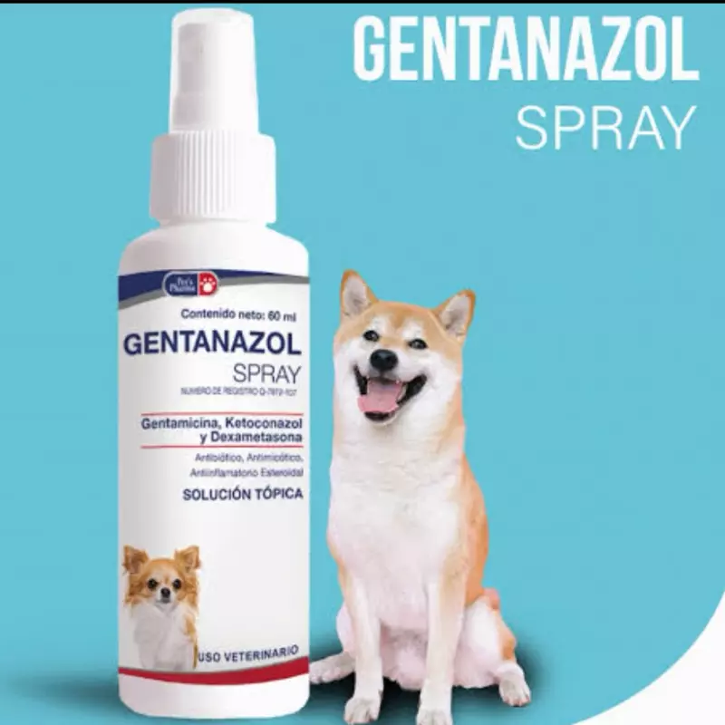 Gentasol spray